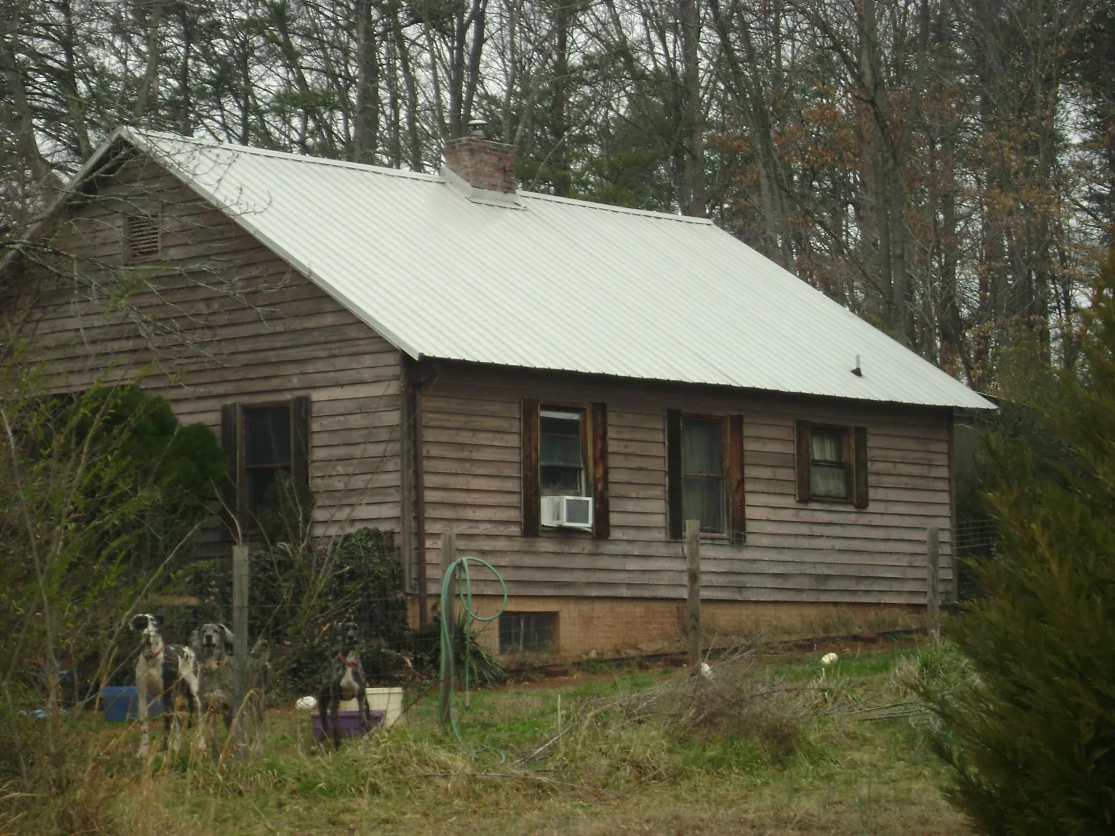 White metal roof on an old wood sided farmhouse, from a Asphalt Shingle Roof Repair job in Wasco